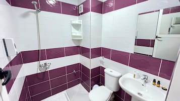 Sèche-cheveux, serviettes fournies, savon, papier toilette