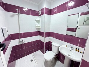Hair dryer, towels, soap, toilet paper