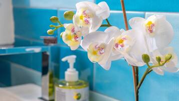 Apartment, Smoking | 1 bedroom