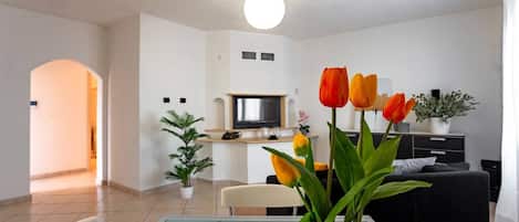 House | Living area | TV