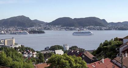 Best View in Bergen - Stylish Apartment With Free Parking Near the City Centre