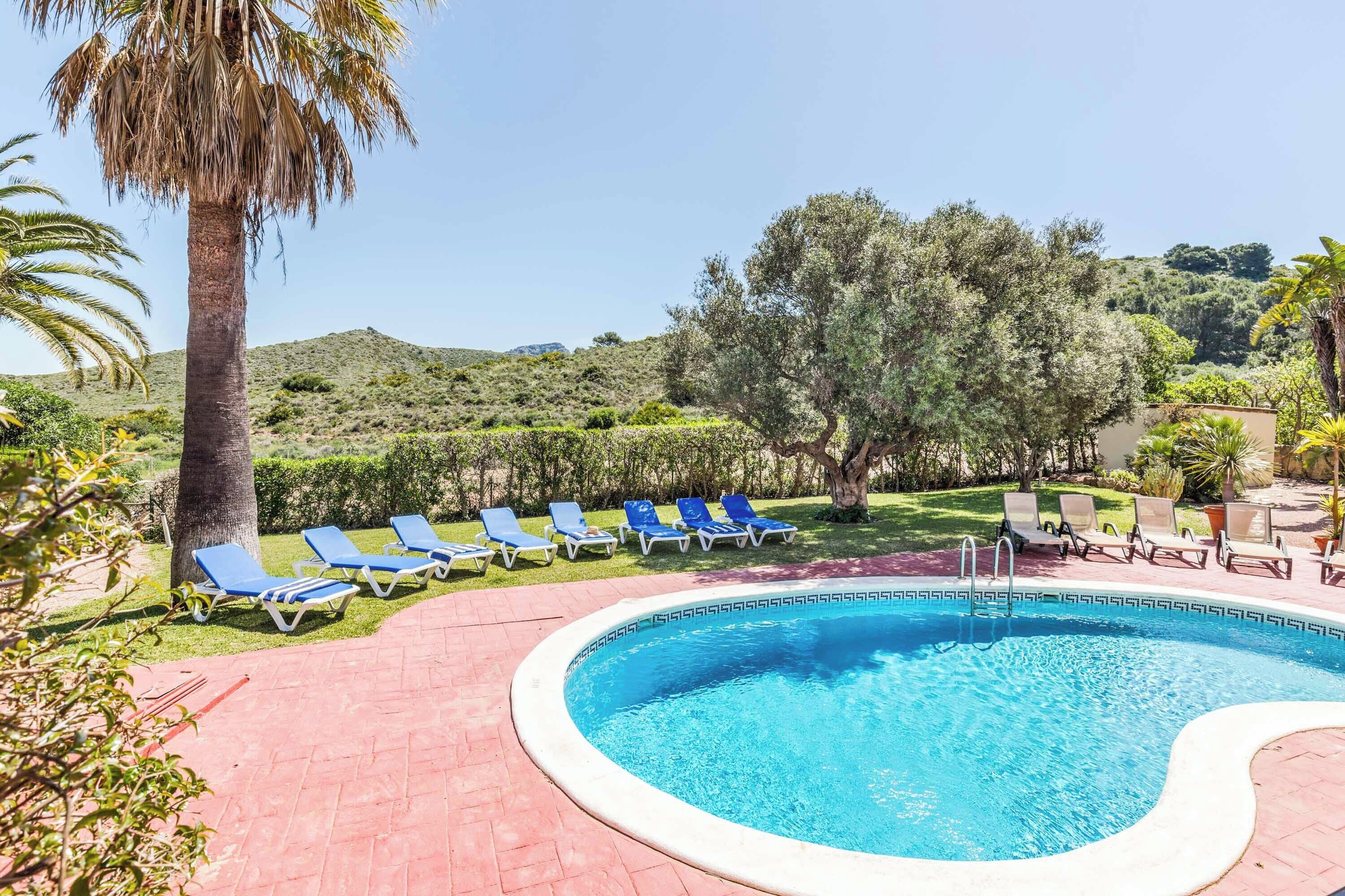 Una piscina con sillas de descanso azules y una palmera.