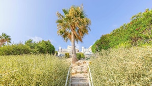 Property grounds - Villa Castania (Pegeia)