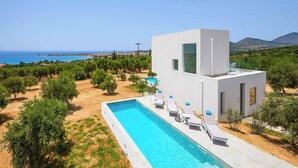Una villa moderna con piscina, rodeada de vegetación y vistas a un paisaje costero.