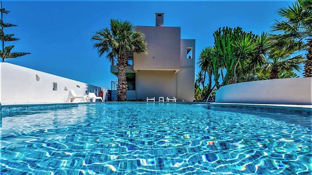 Ein Swimmingpool mit klarem, blauem Wasser, umgeben von weißen Wänden und Palmen.
