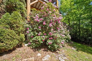 Exterior detail - Muir Lodge (Blowing Rock)