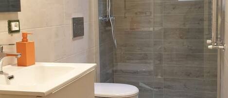 Shower, hair dryer, bidet, towels