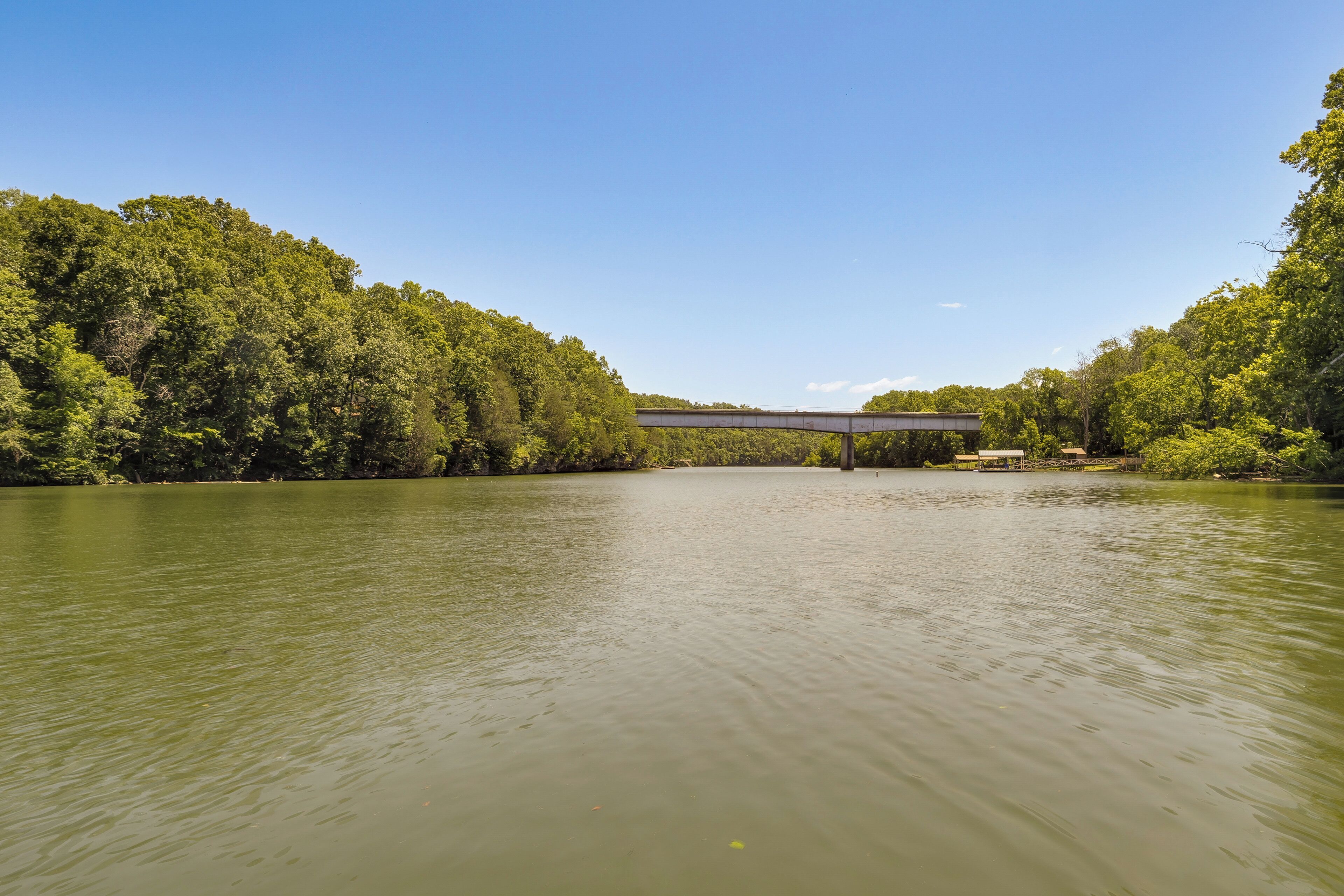 A calm river with a bridge and dense forest on both sides.