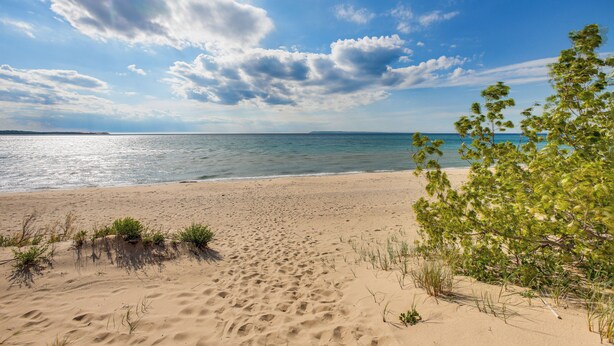 Una playa arenosa con poca vegetación y una vista despejada del océano.