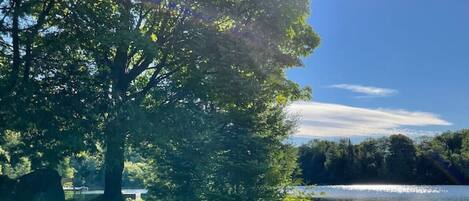 Deux kayaks sont garés au bord d’un lac, avec des arbres et un ciel dégagé en arrière-plan.
