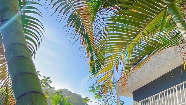 A pool area with a palm tree, a covered seating area, and a building with a balcony. - POUSADA BRISA MAR UBATUBA (Ubatuba)