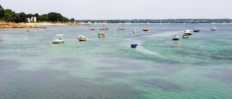 A marina with various boats anchored in calm waters, surrounded by a coastal landscape.