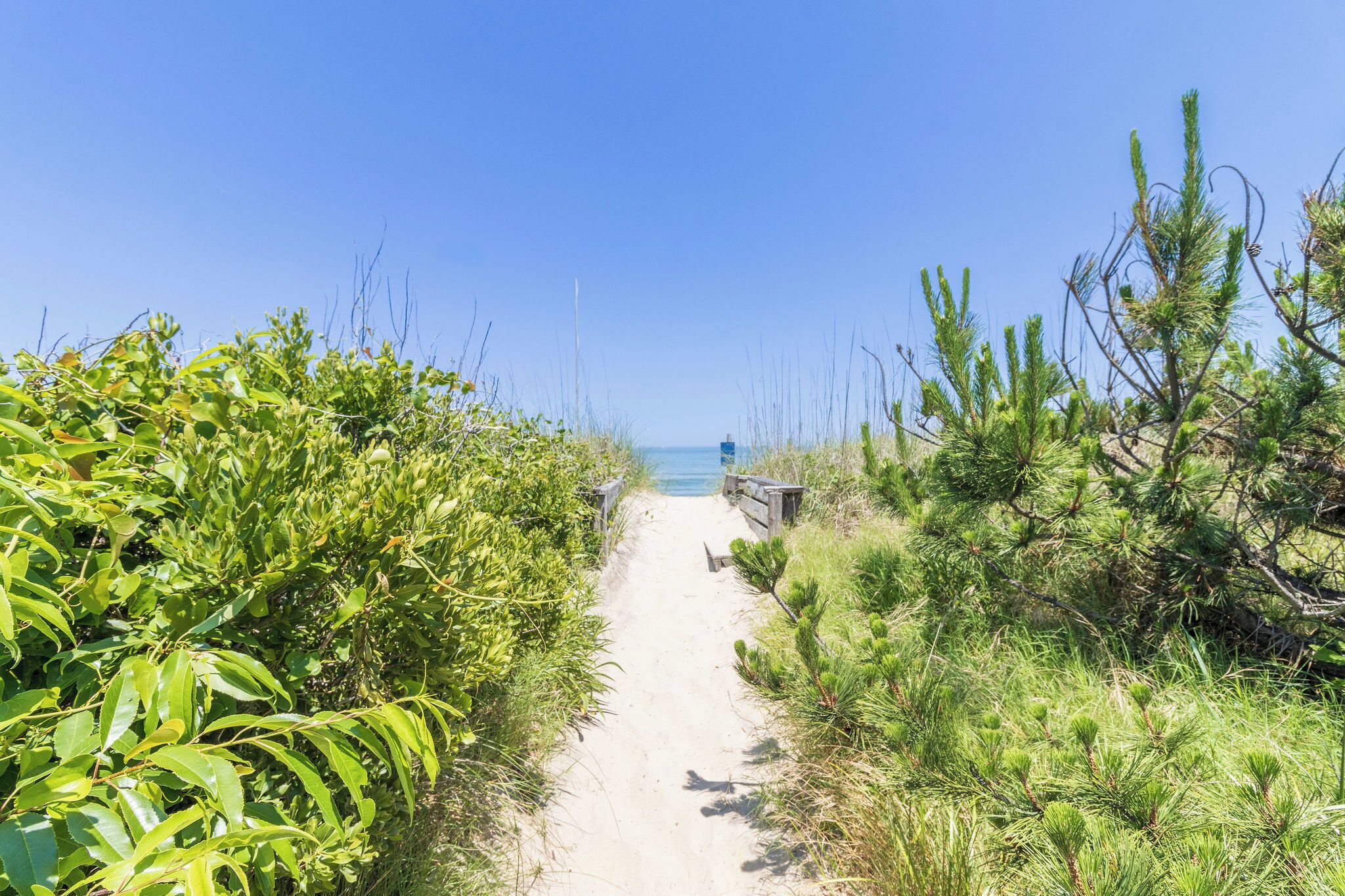 En sti af sand fører til en strand, flankeret af frodig vegetation.