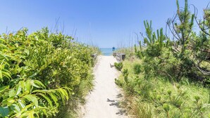 Un sendero arenoso que conduce a una playa, con vegetación densa a ambos lados.
