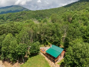 Een blokhut met een groen dak, omringd door dicht bos en bergen.