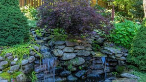 A garden with a small waterfall, surrounded by rocks and greenery. - Chipmunk View Lodge (Blowing Rock)