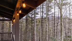A wooden deck with hanging lights overlooking a forest. - Cozy Cabin (Vilas)