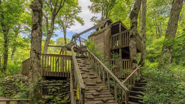 A wooden staircase leading to a cabin in a forest. - Hearthstone (Blowing Rock)