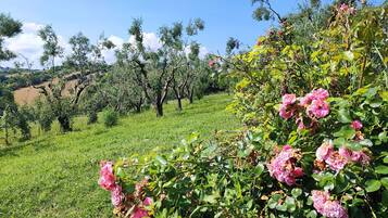 Villa, Raucher | 5 Schlafzimmer