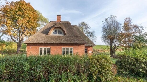 A thatched-roof house with a brick facade, surrounded by dense greenery and trees.