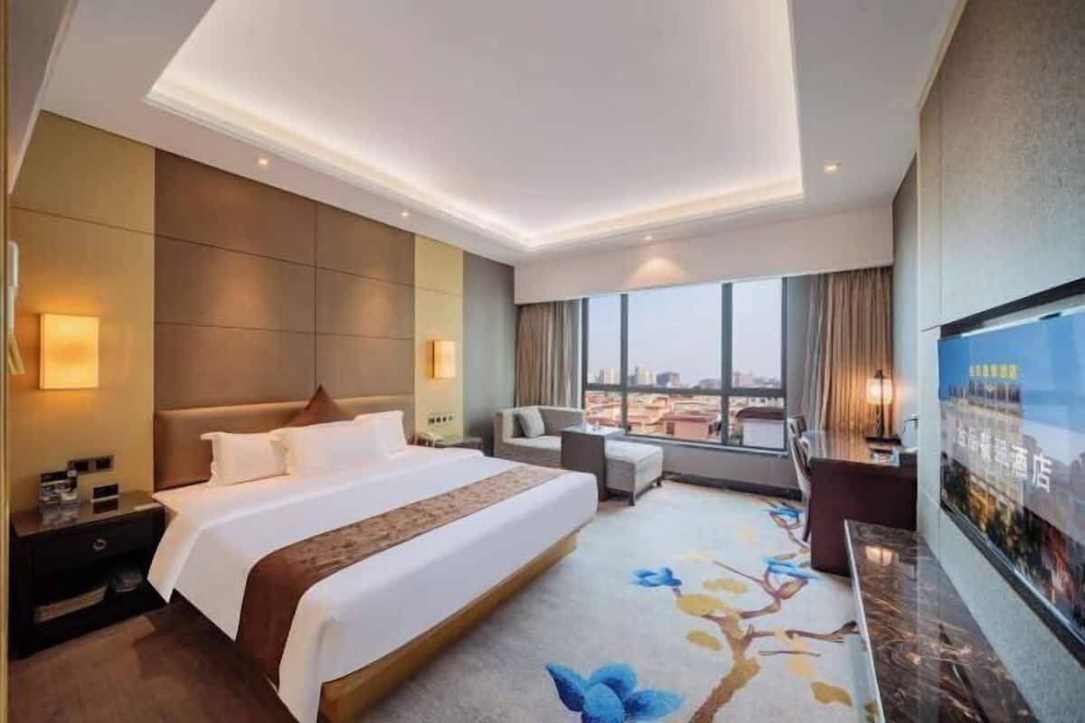 A hotel room with a large bed, a desk, a chair, a TV, and a view of the city.