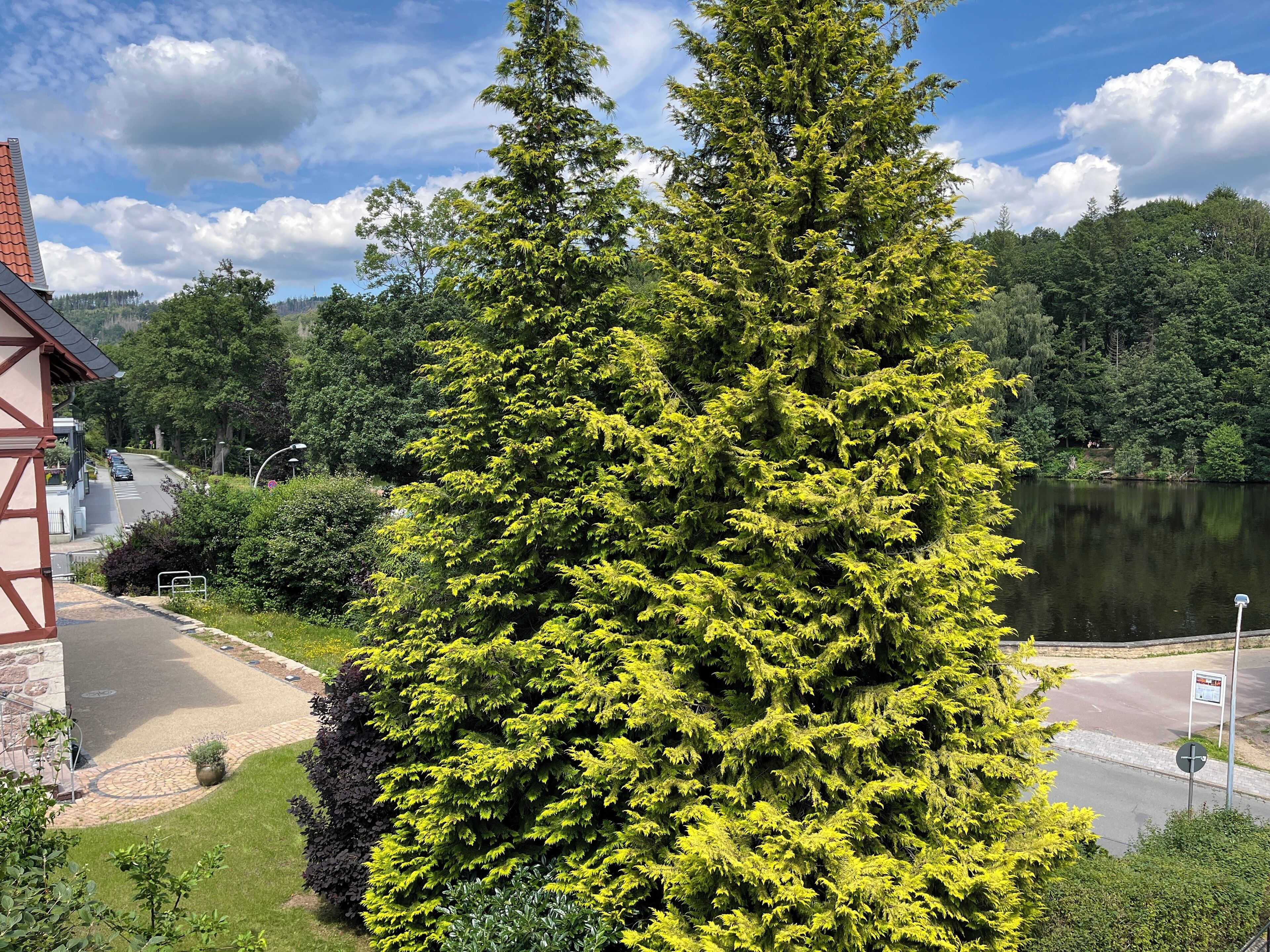 View from room