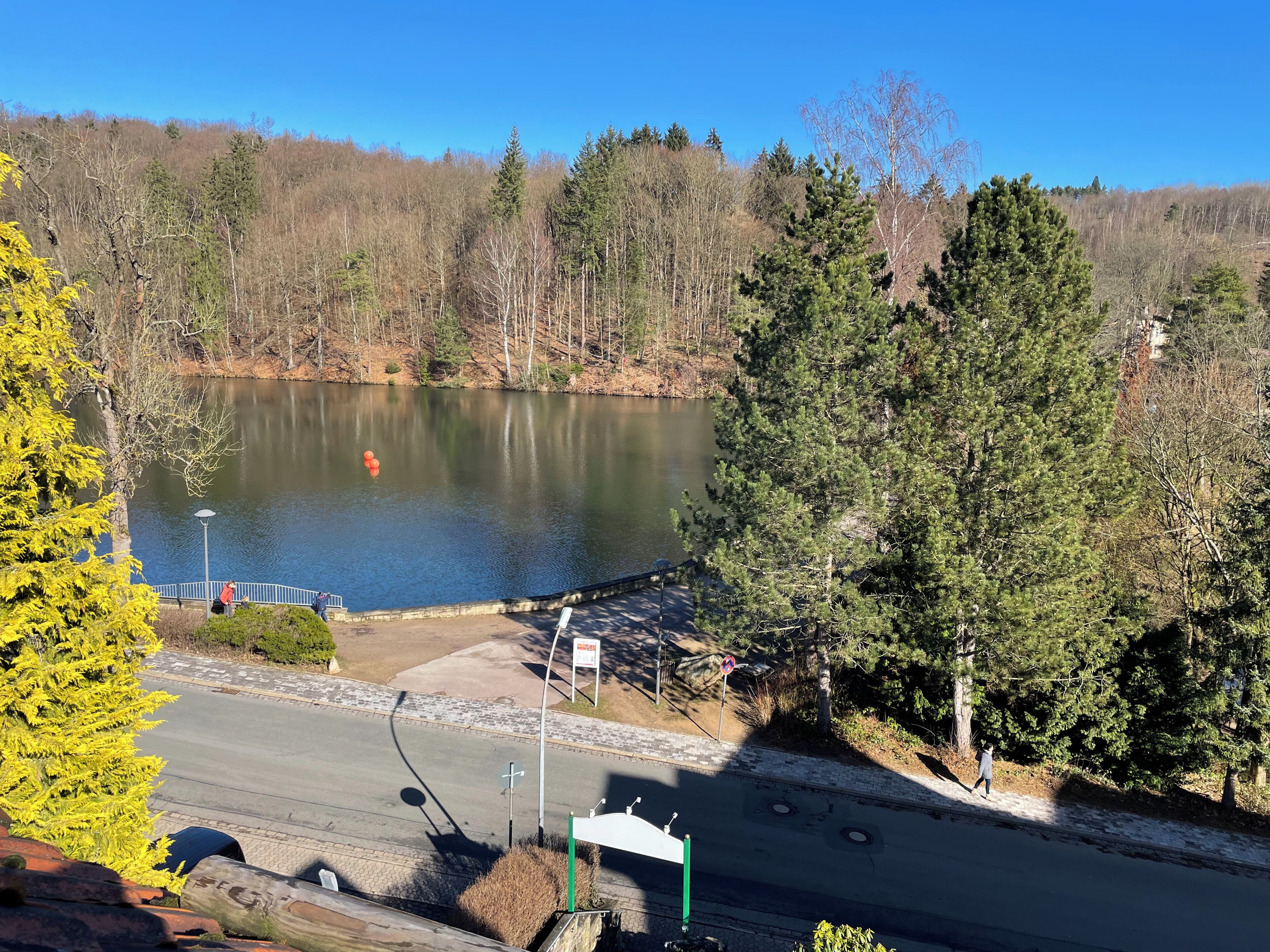 A lake with a dock, surrounded by trees and a paved road.