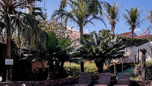 Una piscina con lettini, palme e un muro in pietra.