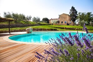 A swimming pool with a wooden deck, surrounded by lavender plants. - Villa Meraviglia With Pool And Ac (Poggibonsi)