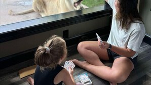 Twee personen zitten op de vloer bij een raam en kijken naar een leeuw door het glas.