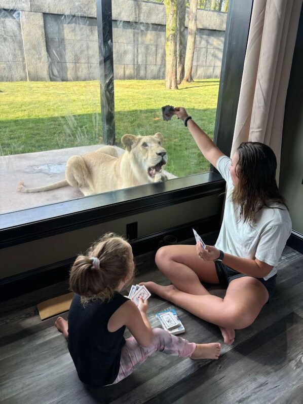 Two people sitting on the floor by a window, looking at a lion through the glass.