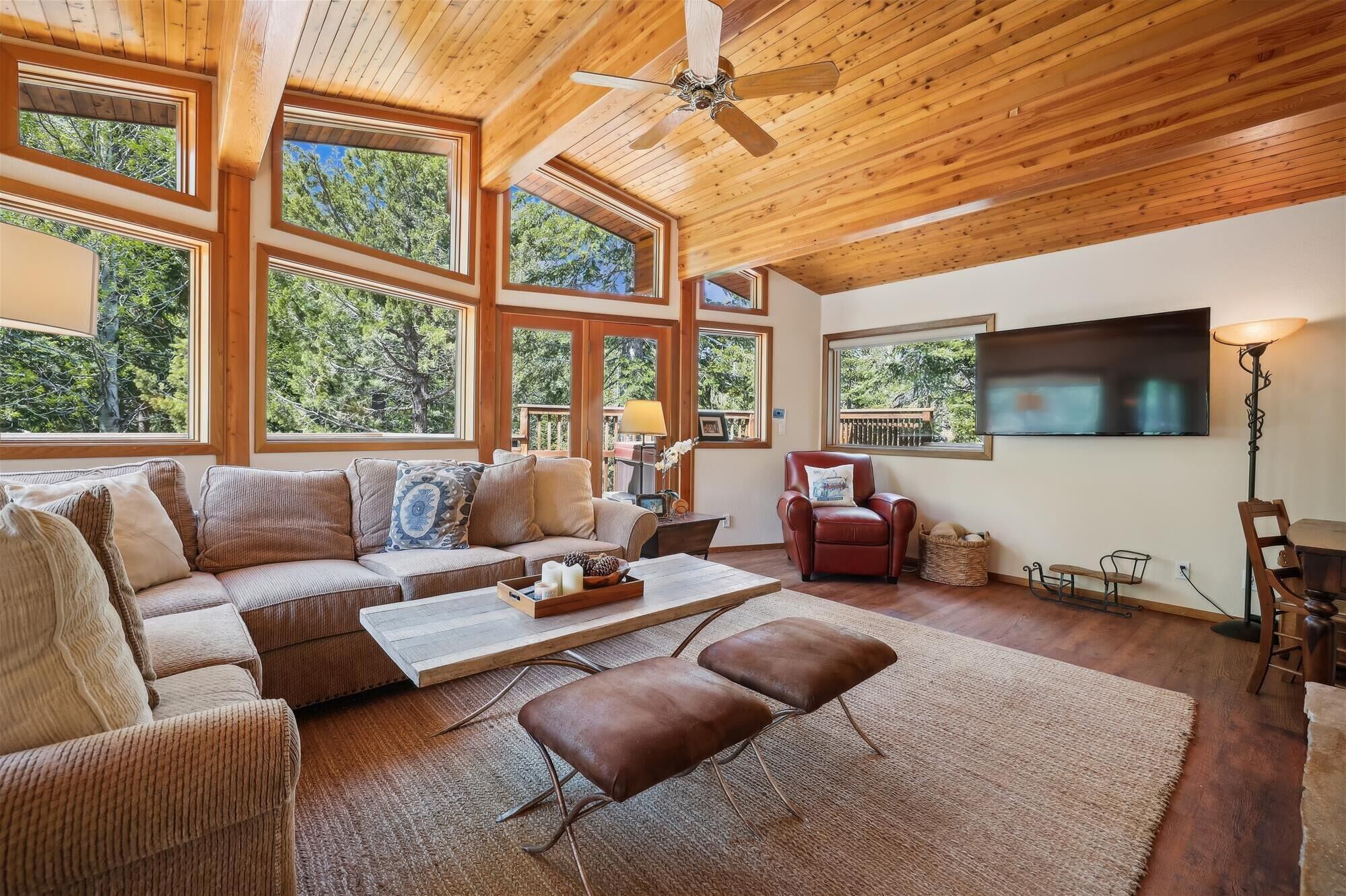 Smart TV, DVD player, books