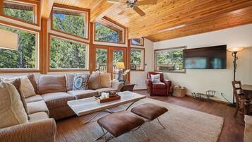 Smart TV, DVD player, books