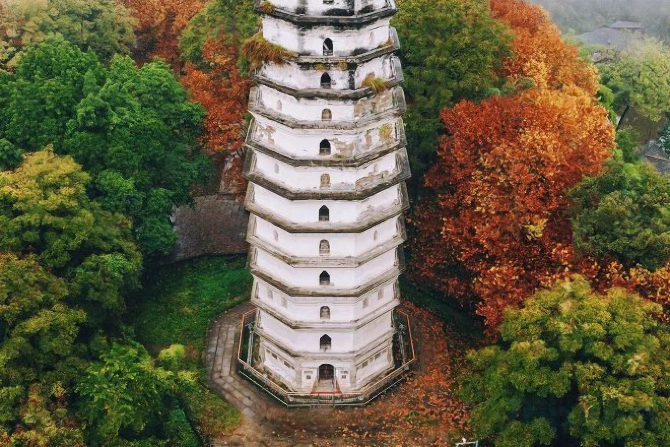 Une pagode à plusieurs niveaux, entourée d’un feuillage automnal dense.