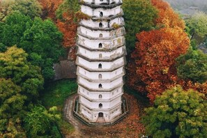 Una pagoda de varios niveles rodeada de abundante follaje otoñal.