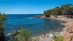 A beach with clear blue water, rocky shore, and trees in the background.