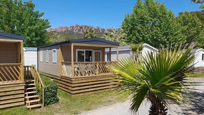 A row of mobile homes with wooden decks and a palm tree in the foreground.