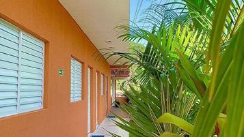 Suite estándar | Baño