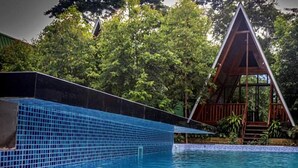 Una piscina con bordes de azulejos azules, rodeada de exuberante vegetación y una estructura de madera con techo triangular.