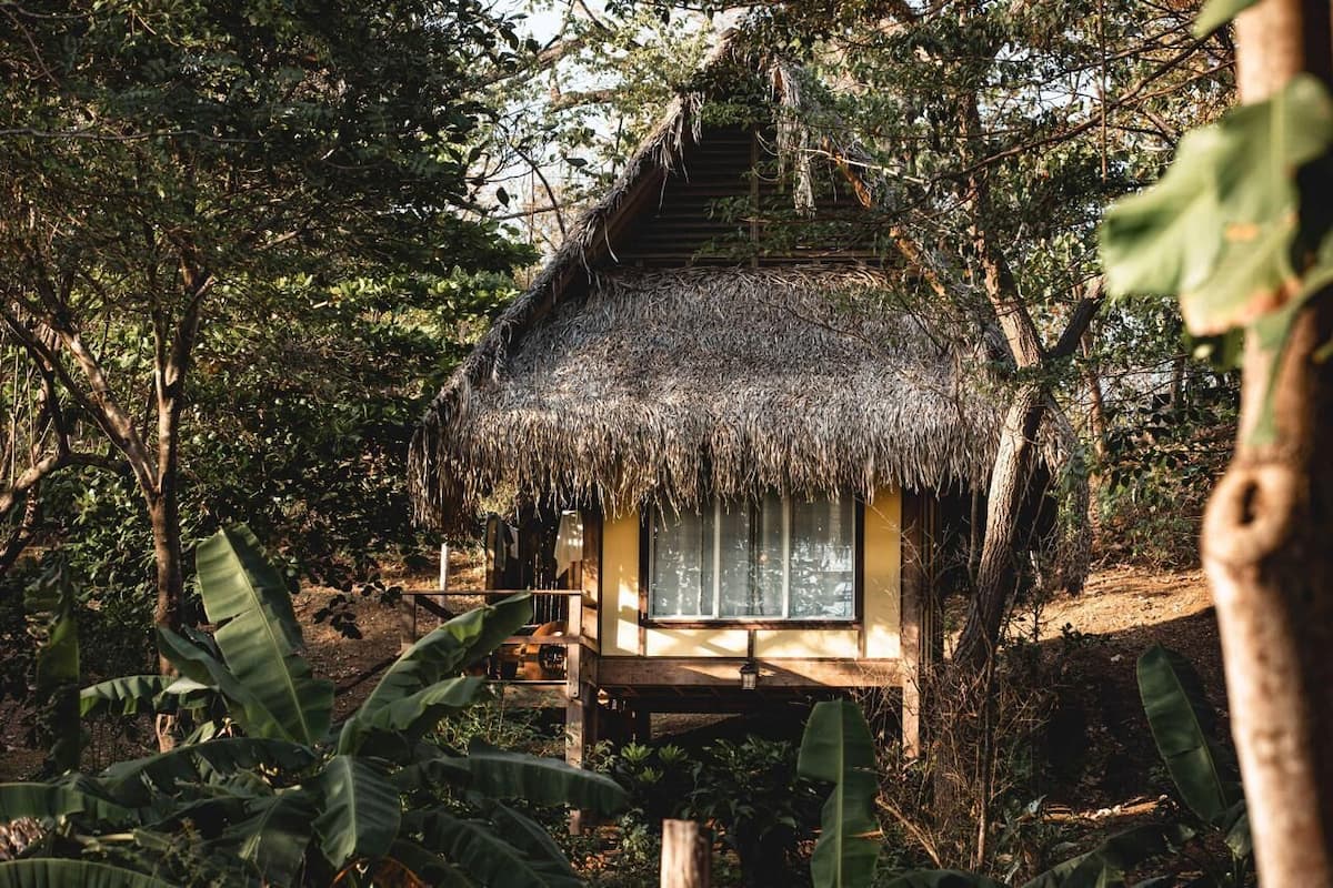 Une hutte au toit de chaume, dotée d’une fenêtre, entourée d’une végétation luxuriante.