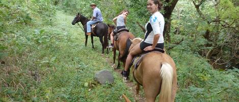 Un grupo de personas montando a caballo por un sendero estrecho rodeado de vegetación densa.