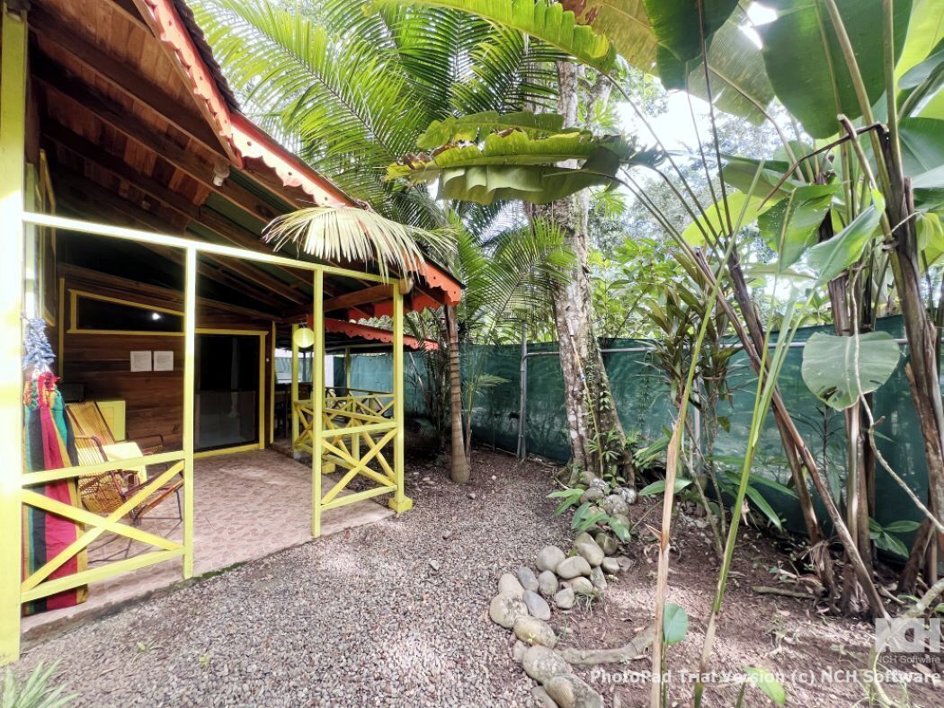 Ein Holzhaus mit einem Strohdach, einer überdachten Außenlounge und einem Garten mit tropischen Pflanzen.