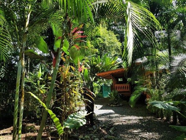 Property grounds - Casa La Terrazza (Puerto Viejo de Talamanca)