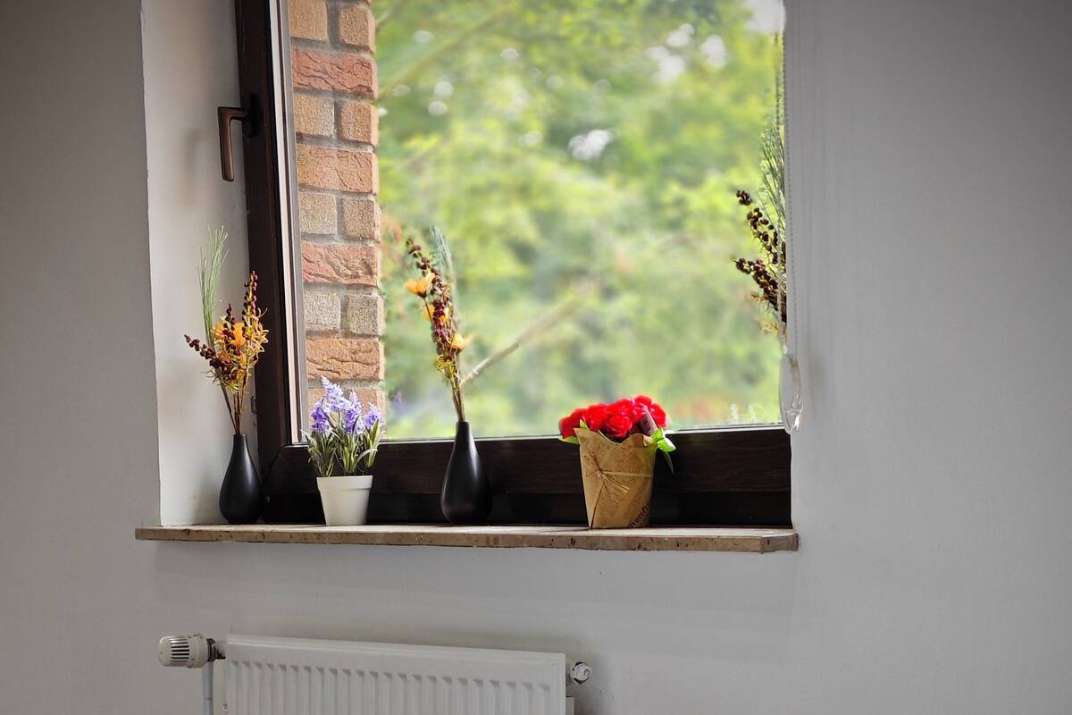 Basic Room | 1 bedroom, WiFi (free)