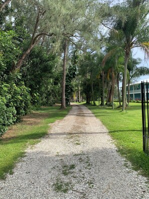 Enceinte de l’hébergement