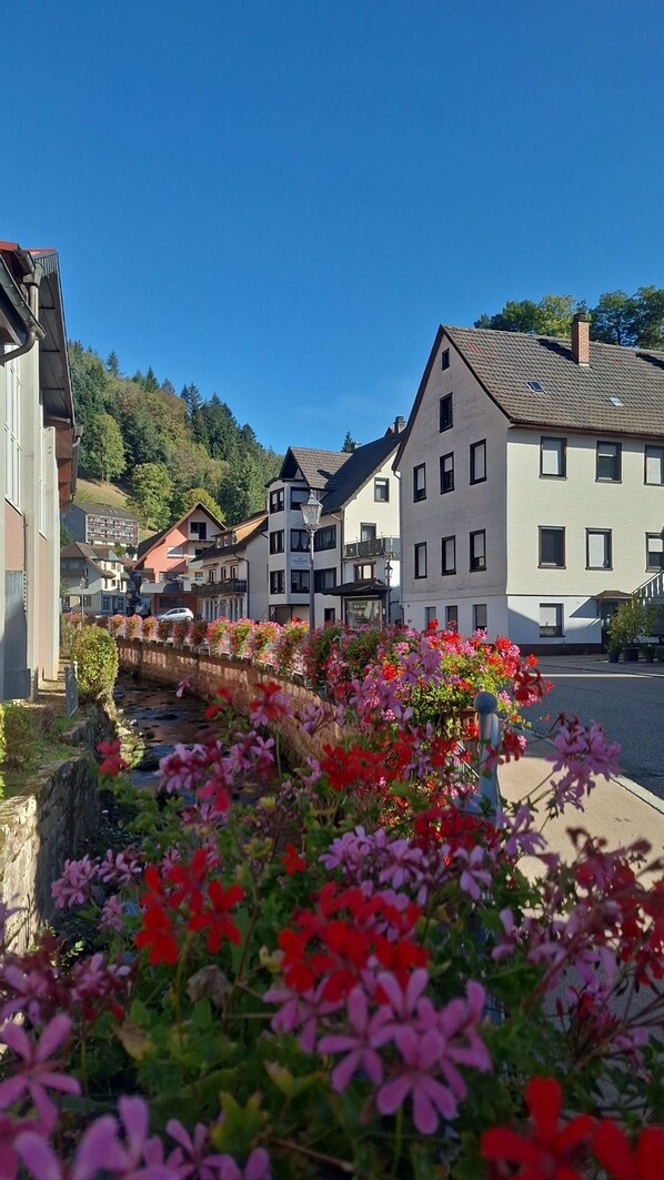 A residential street with houses, a stone wall, and a flower bed.