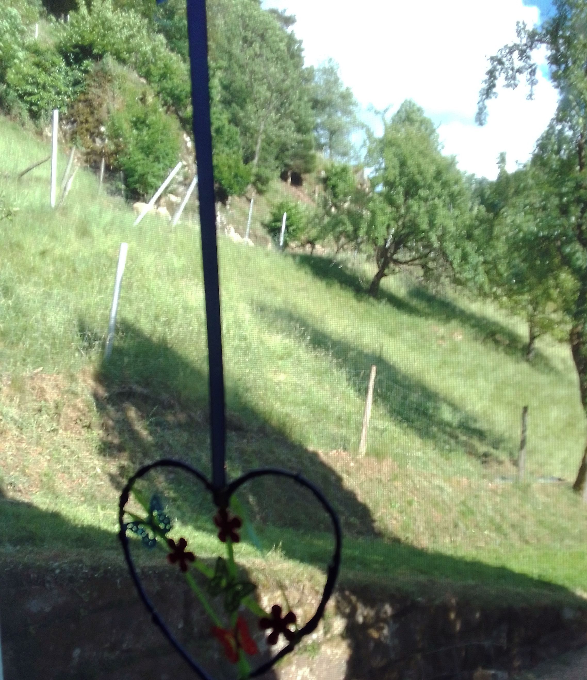 A heart-shaped decoration with flowers, a grassy area with trees, and a fence in the background.