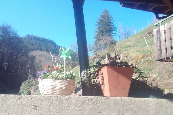AuĂendetails