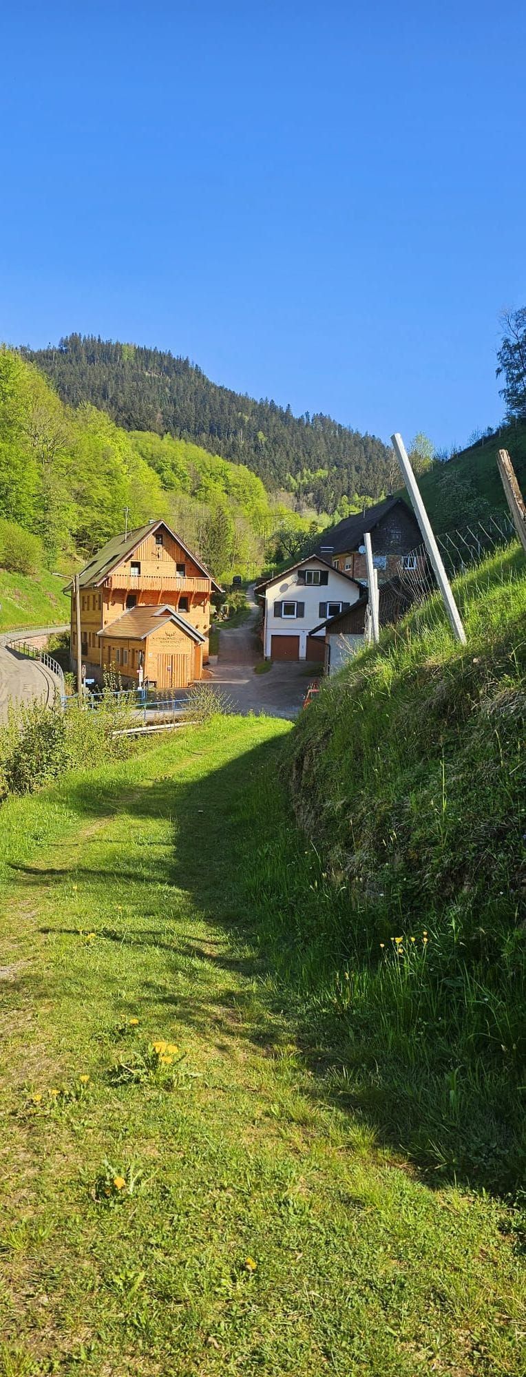 Ländliche Umgebung mit einem Holzhaus und einem weißen Gebäude, umgeben von üppiger Vegetation und blauem Himmel.
