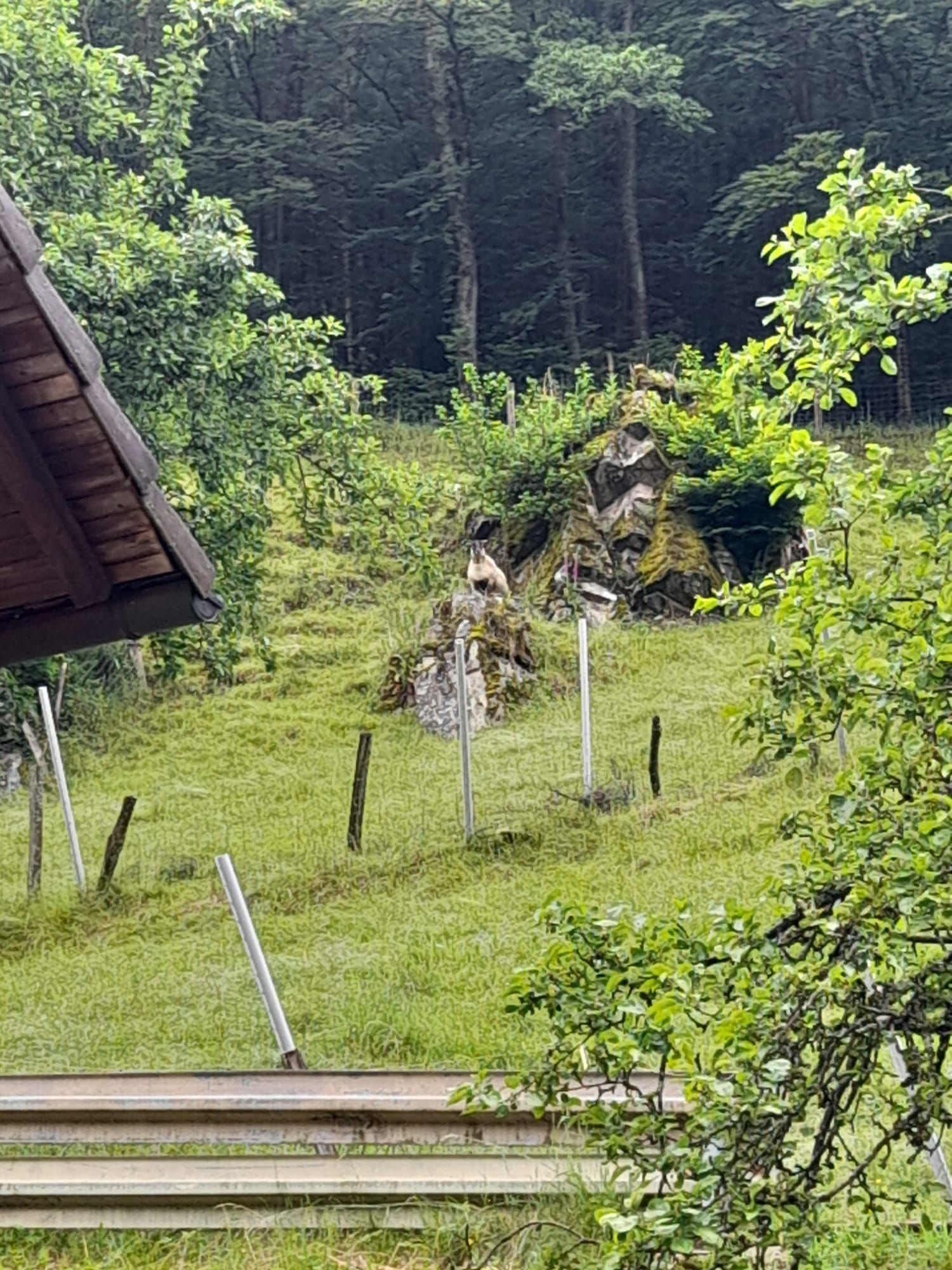 A natural landscape with a wooden structure, a fenced area, and a rocky outcrop.